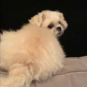 Meet your Posher, Christopher